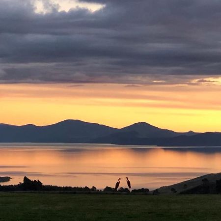 Hilltop Whakaipo Estate Taupo Exterior foto