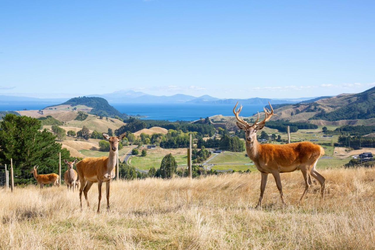 Hilltop Whakaipo Estate Taupo Exterior foto