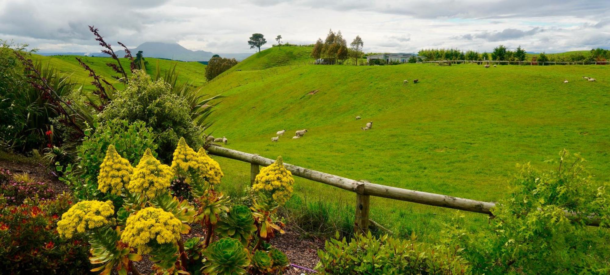 Hilltop Whakaipo Estate Taupo Exterior foto